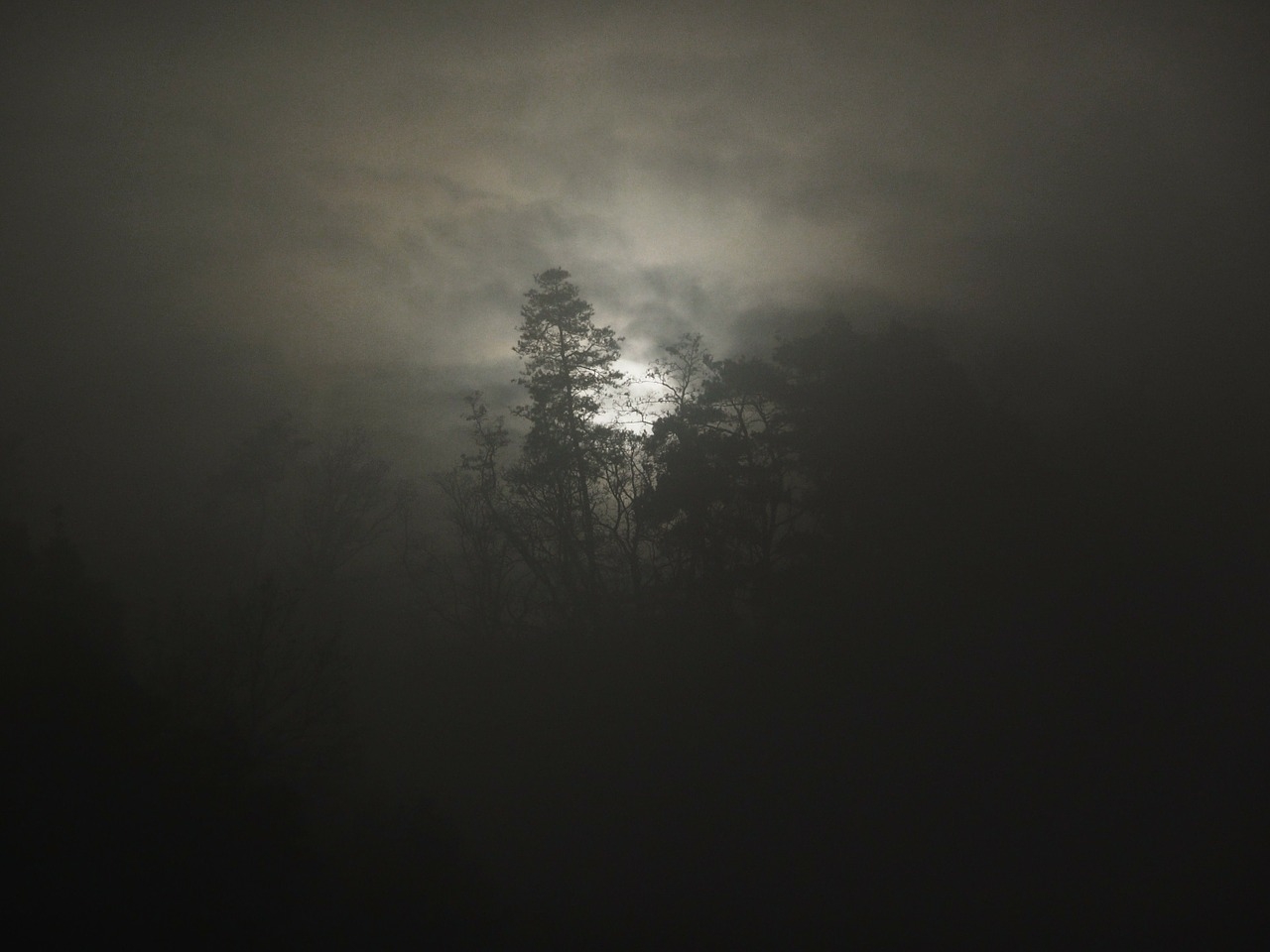 fog-18936_1280