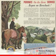 purina-on-horseback