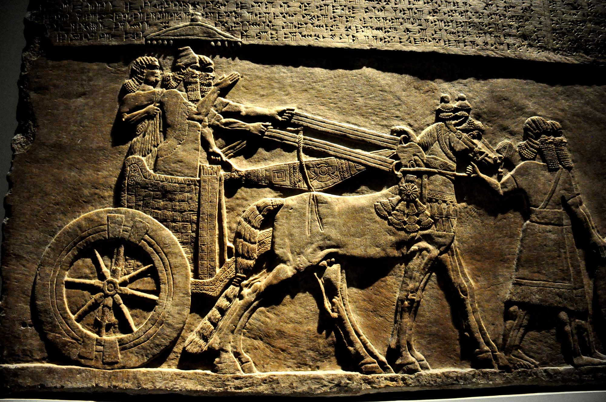 assyrian-chariot