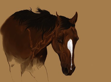 horseoldbrown